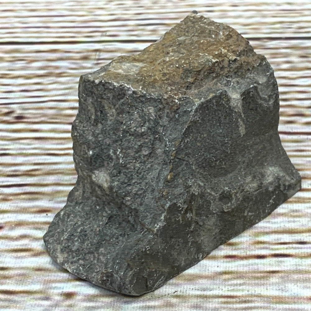 Unique Natural Gray Rock Fossil Stone Specimen Display Piece